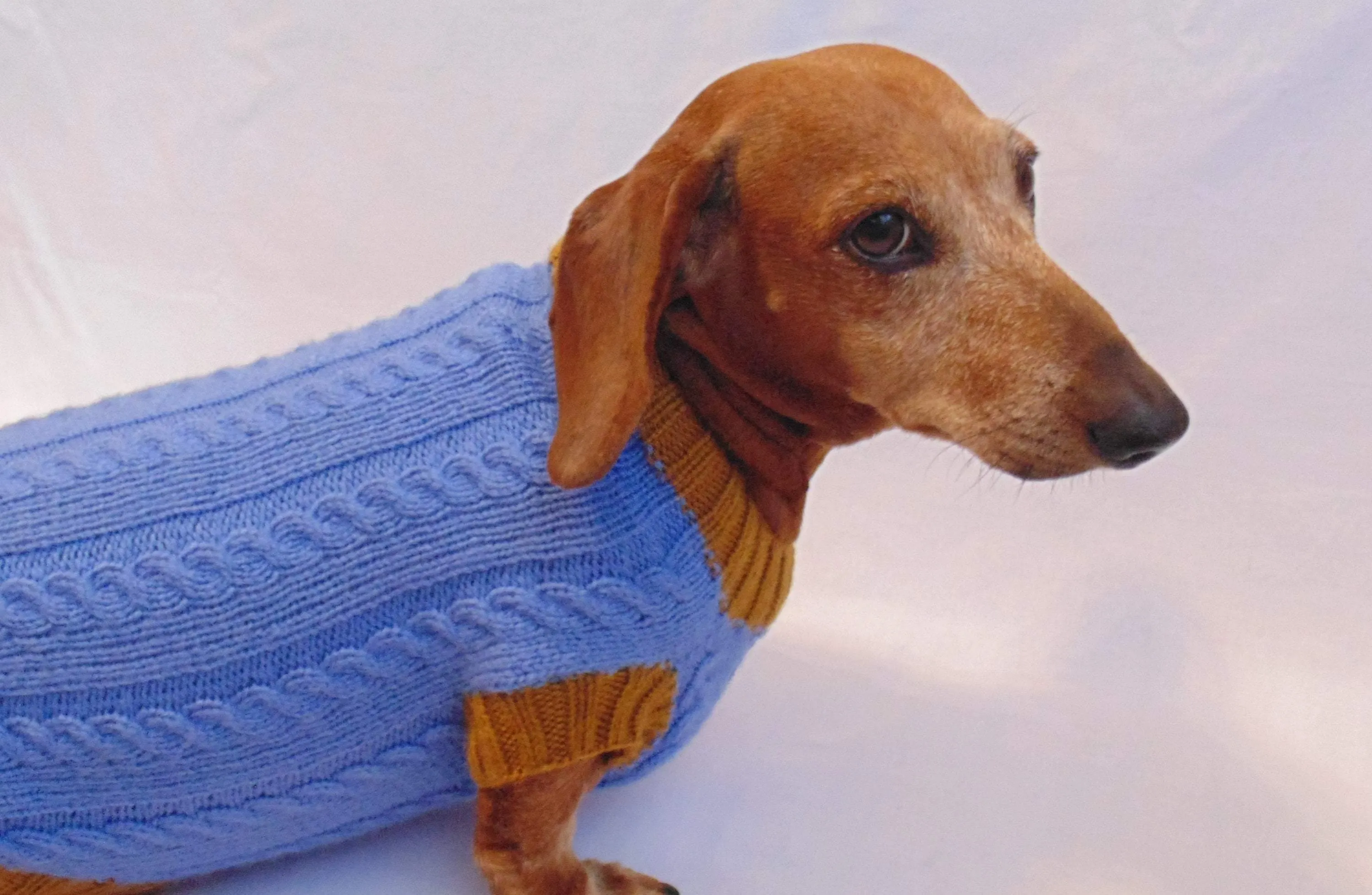 100% handmade sweater for small dog