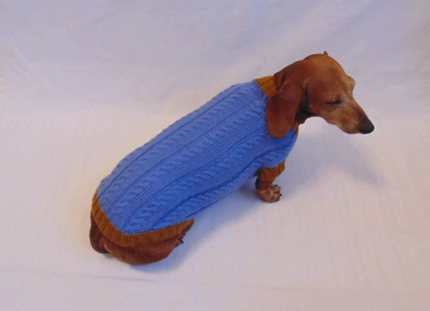 100% handmade sweater for small dog