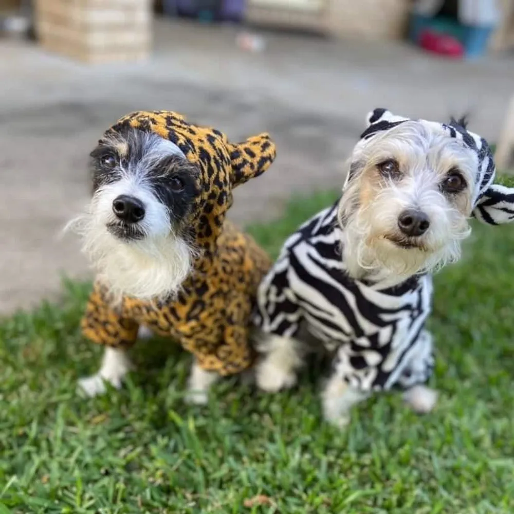 Leopard Jumpsuit Dog Costume